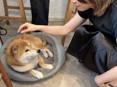 -三目仓咖啡(贤南路店)