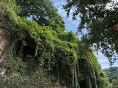 -三游洞