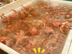 -毕家疃综合市场