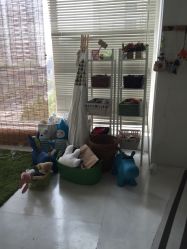 -苹果树儿童摄影工作室