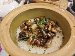 -红星光发煲仔饭(文海店)