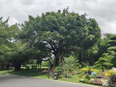 -南宁南湖公园