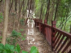 -南山植物园