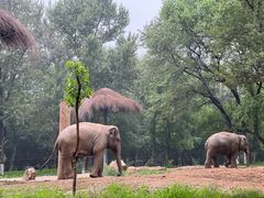 -北京野生动物园