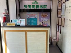 -安安宠医宠物医院·异宠·犬猫内科(岳阳分院)