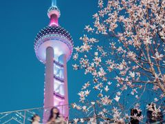 -陆家嘴中心绿地