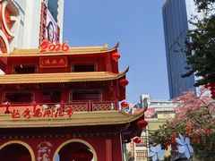 -越秀西湖花市(广州城市广场花卉店)