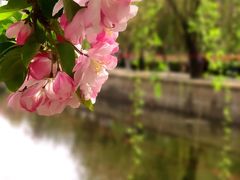 -海棠花溪(元大都城垣遗址公园)