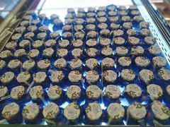 瓷瓶酸奶-红星前进面包牛奶公司(君太店)