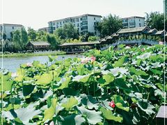 -西海子公园