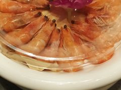 -邵年鸽(杨庄店)