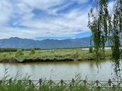 -野鸭湖国家湿地公园