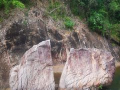 -广州白江湖森林公园