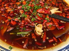 -院8里·少城记忆老川菜(宽窄巷子店)