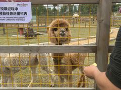 -红山体育乐园