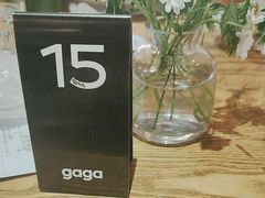-gaga(金光华店)