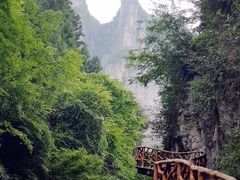 -鹿院坪生态旅游景区