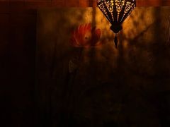 -菩泰·泰式草本按摩SPA(国大城市广场店)