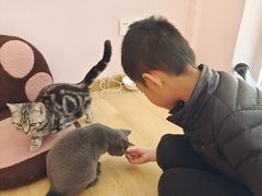 -猫咪派对(江南西店)