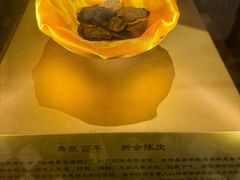 -陈李济中药博物馆