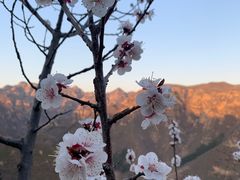 -京东石林峡风景区