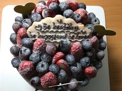 -EnergyCake蛋糕理想国