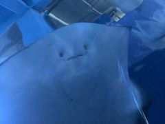 -暹罗海洋世界