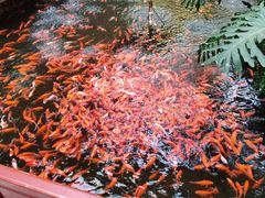 -新世纪绿洲(抚顺店)