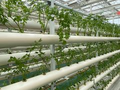 -兰陵国家农业公园