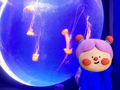 -上海海洋水族馆