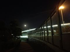 -演武大桥观景平台