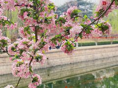 -元大都城垣遗址公园