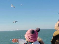 -仁川港国际客运码头