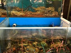 -真浪花园海鲜餐馆