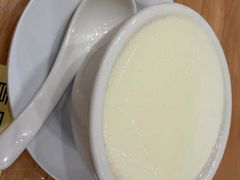 南信双皮奶-南信牛奶甜品专家