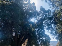 -四门塔风景区