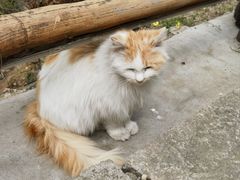 -慕田峪长城