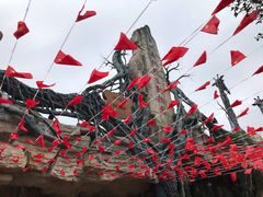 -贵州森林野生动物园