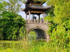 -长广溪湿地公园