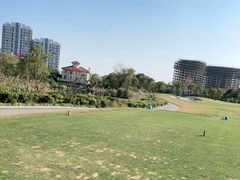 -棕榈滩海景高尔夫俱乐部
