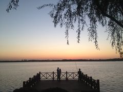 丁香湖-丁香湖公园
