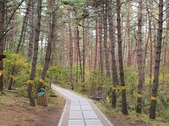 -帽儿山国家森林公园