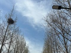-嘉北郊野公园