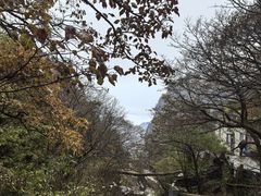 -黄山西海饭店-自助餐厅