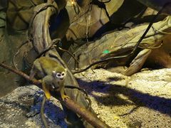 -波塞冬旅游度假区