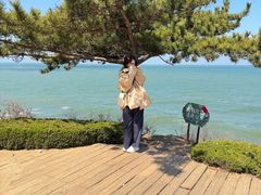 -养马岛旅游度假区