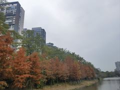 -金山公园