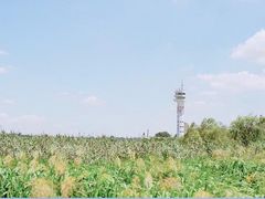 -吴淞炮台湾湿地森林公园烧烤区