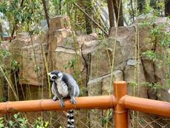 -北京野生动物园