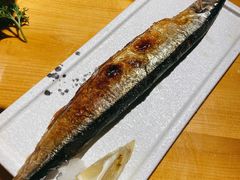 -月见·烧鸟酒场居酒屋(农科路店)